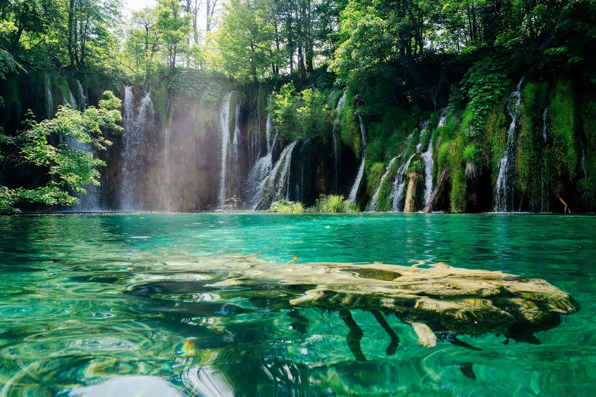 Biglietto di entrata del parco nazionale di Plitvice Lakes