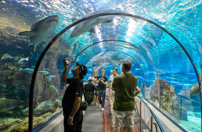 Aquàrium de Barcelona: passagem de entrada