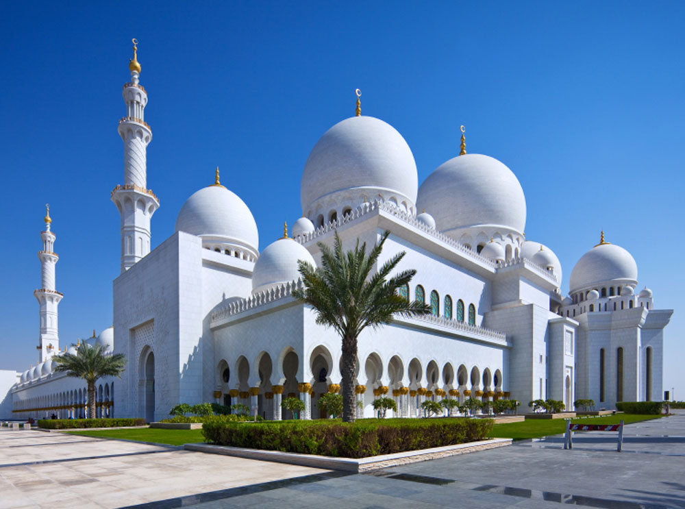 Abu Dhabi Discover: Hop-On, Hop-Off Bus Tour (24-uur ticket)