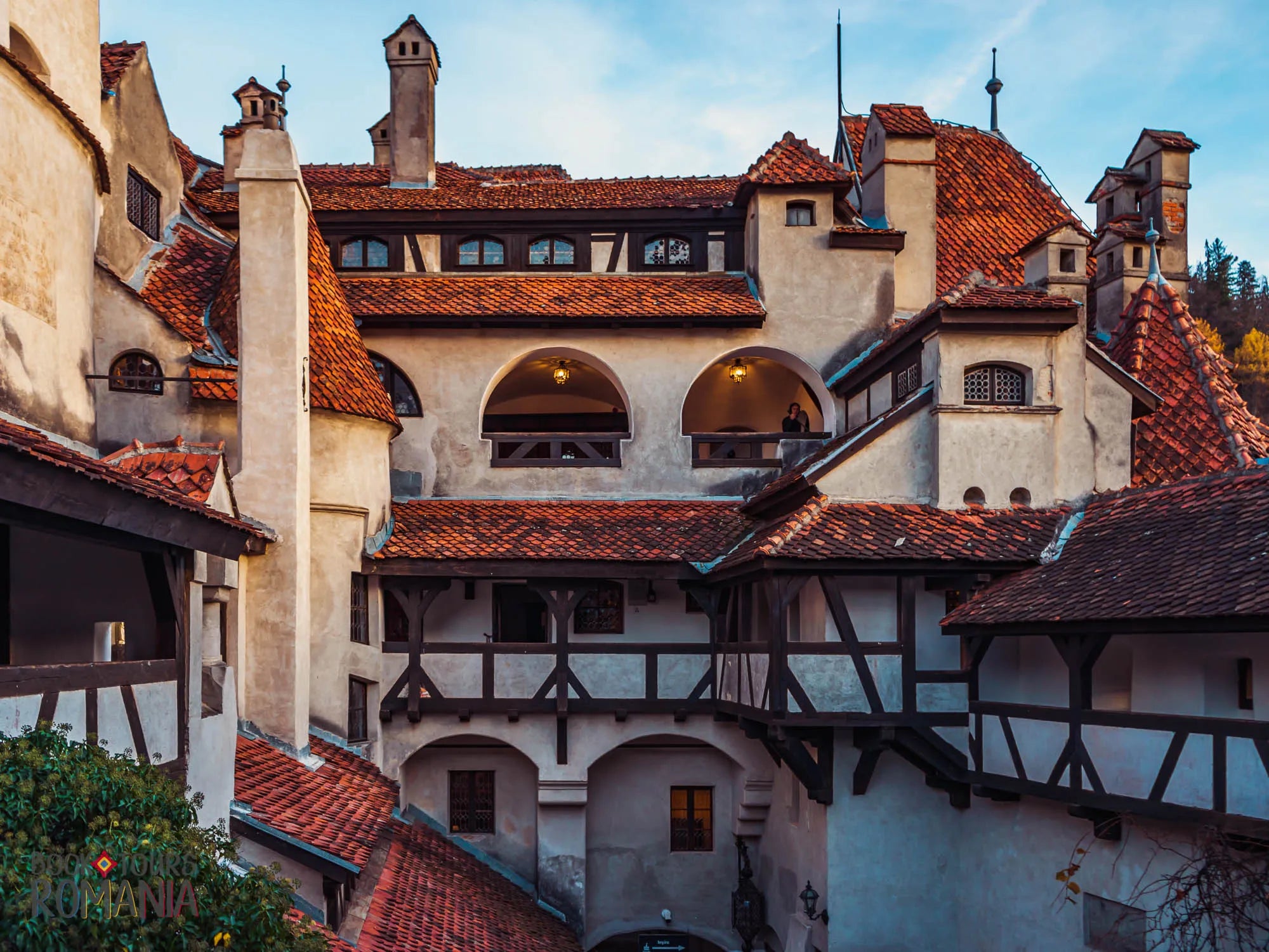 Bran Castle: Indgangsbilletter