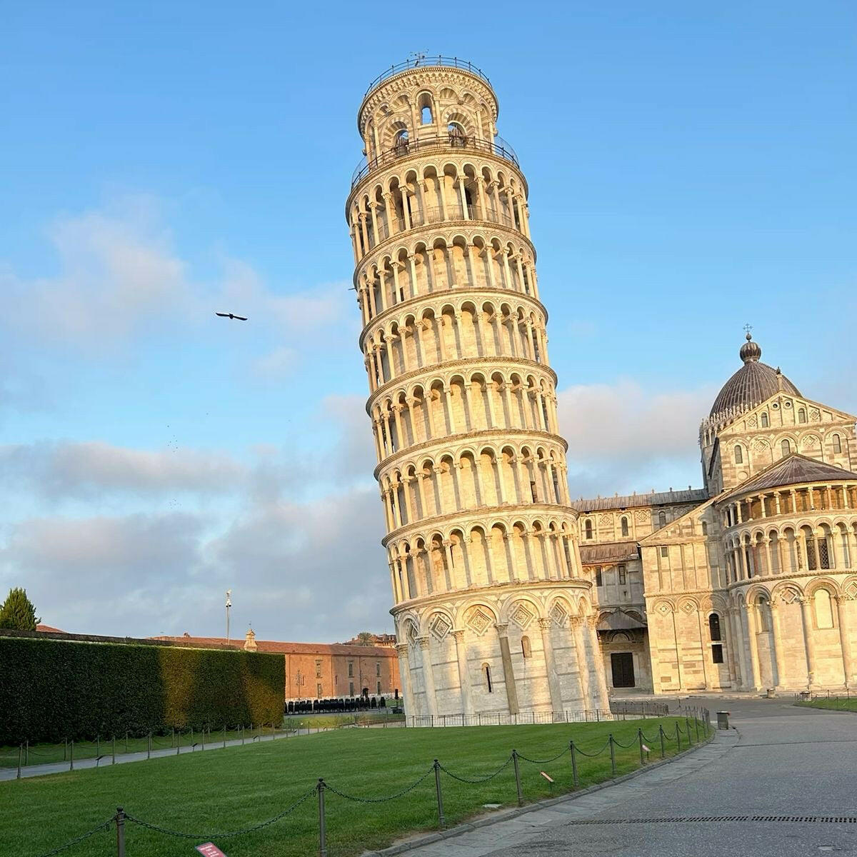 Tower of Pisa：Fast Passチケット