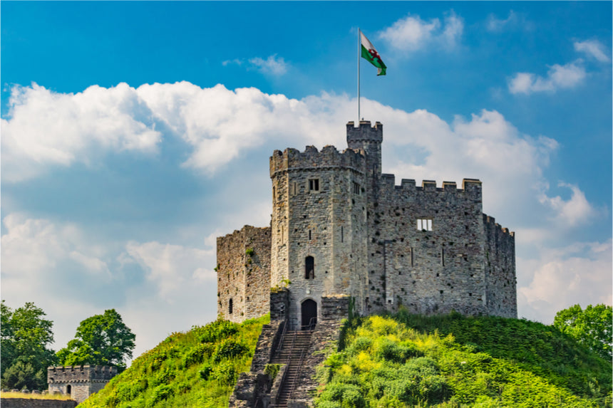 Vstupní lístek na hrad Cardiff