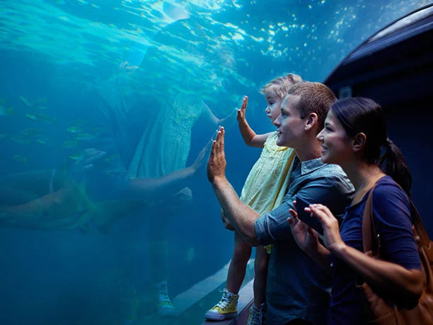 Spring over linjebilletten: Monterey Bay Aquarium